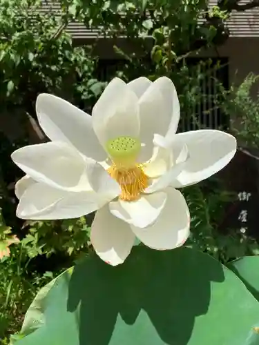 生田神社(兵庫県)