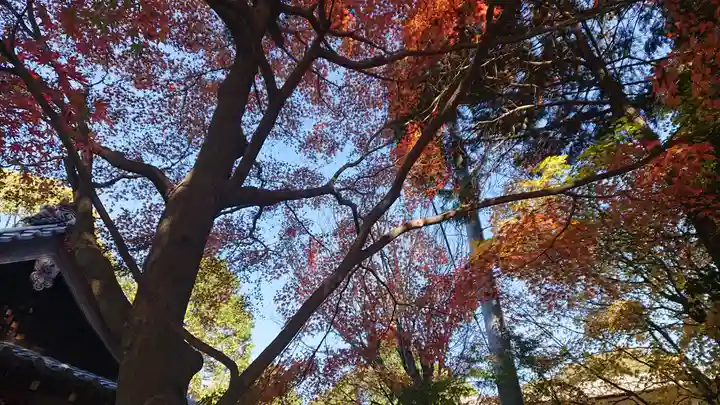玉野御嶽神社の自然