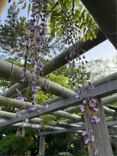 越ヶ谷久伊豆神社(埼玉県)