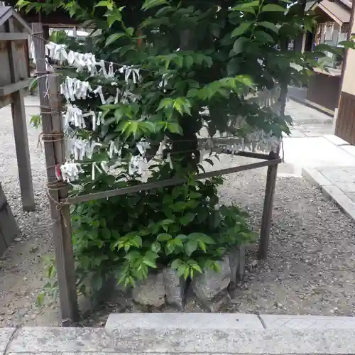 瀧尾神社のおみくじ