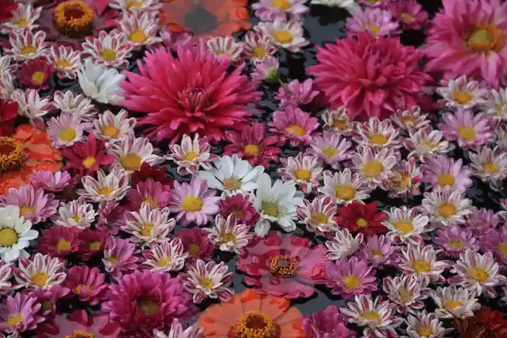 大鏑神社の手水舎