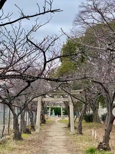 大依羅神社の鳥居