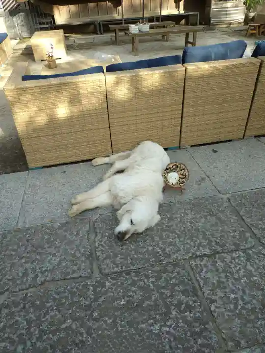 戸越八幡神社(東京都)