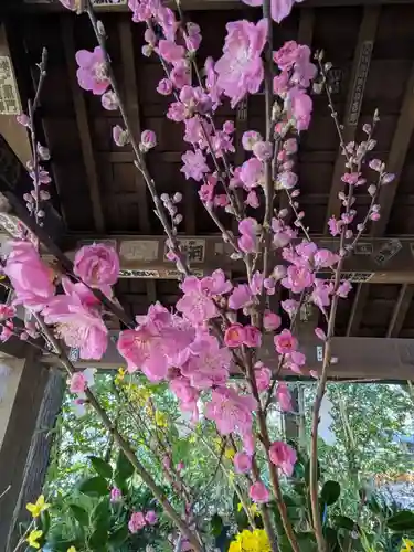 赤坂氷川神社(東京都)
