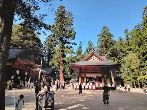 穂高神社本宮(長野県)