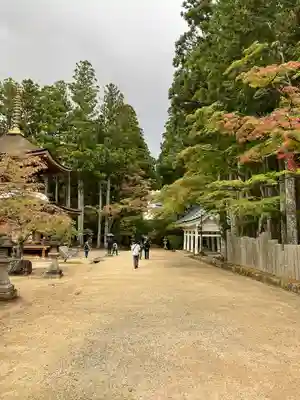 壇上伽藍(和歌山県)