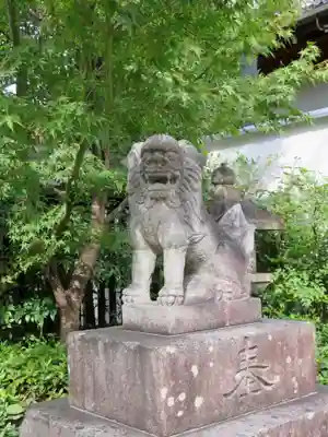 晴明神社の狛犬