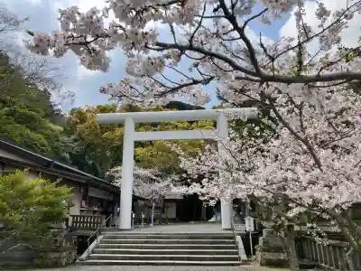 安房神社(千葉県)