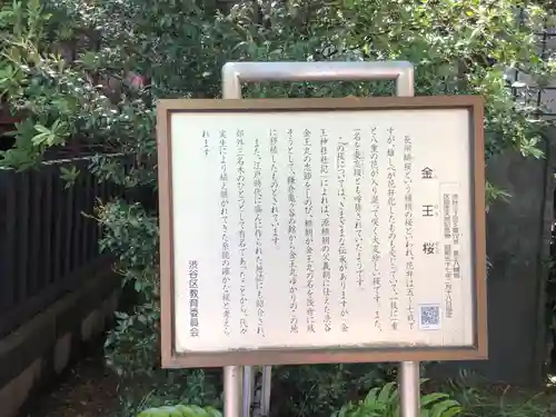 金王八幡宮(東京都)