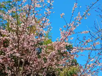 大海神社（住吉大社摂社）(大阪府)