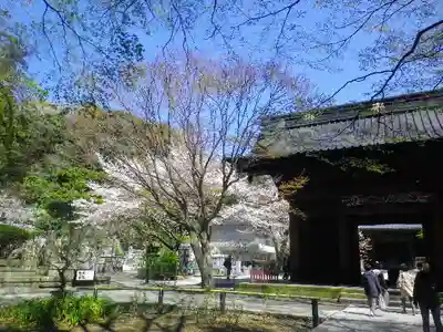 妙本寺の山門・神門