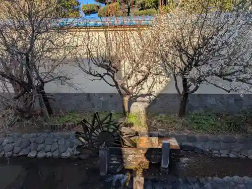 東光院(東京都)