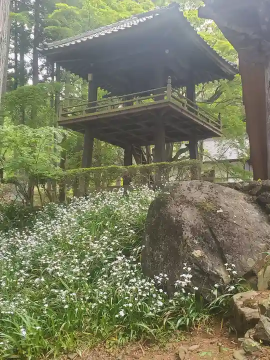 鳳仙寺(群馬県)