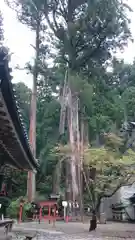 日光二荒山神社の自然