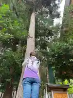 開成山大神宮(福島県)