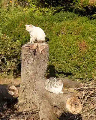 醫王寺(黄金身代り不動尊) (群馬県)