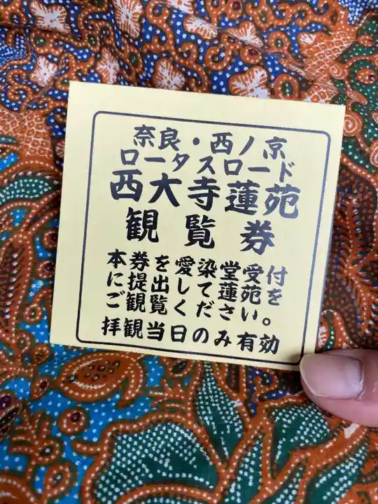 西大寺の体験その他