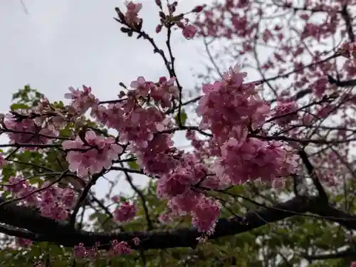 新井薬師（梅照院）(東京都)