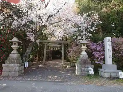 勝手神社の鳥居