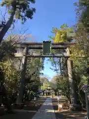 篠崎浅間神社の鳥居