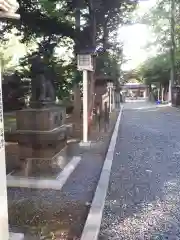 新琴似神社の狛犬