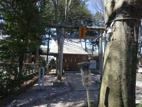 神明大神宮の鳥居