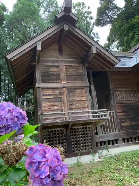 近津神社の本殿・本堂