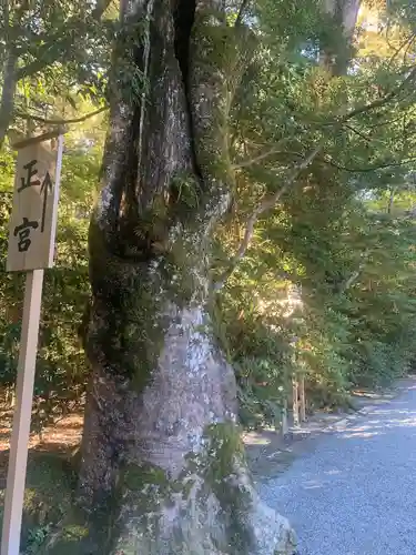 伊勢神宮外宮（豊受大神宮）(三重県)