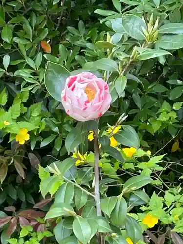 城南宮(京都府)