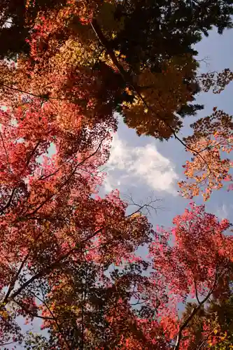 光明寺（粟生光明寺）(京都府)