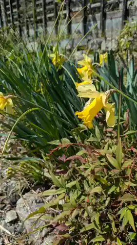 大乗寺(滋賀県)