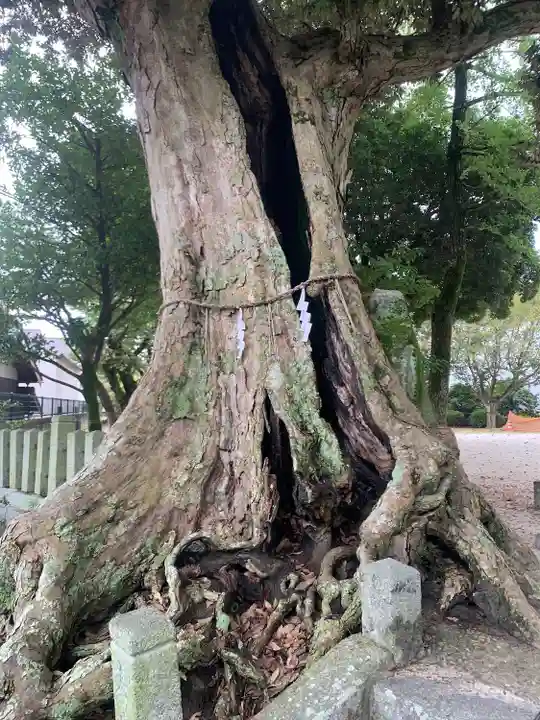若八幡宮(福岡県)