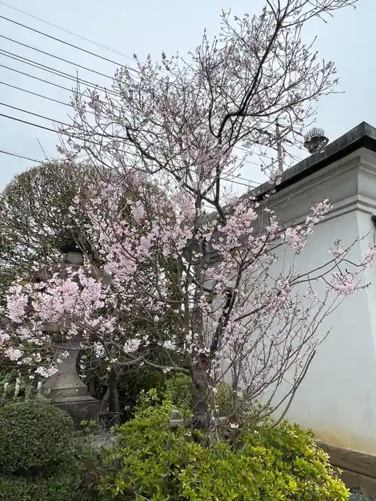 成田山川越別院(埼玉県)
