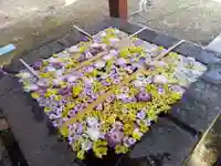 土津神社|こどもと出世の神さまの手水舎