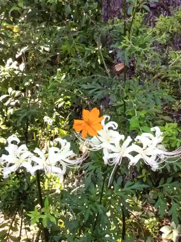 鷺宮八幡神社(東京都)