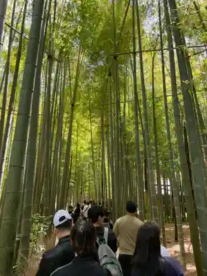 報国寺(神奈川県)