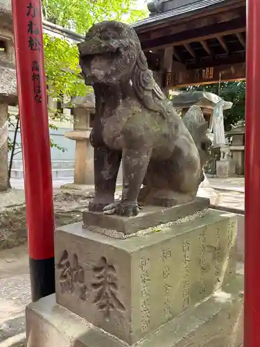 富岡八幡宮の狛犬