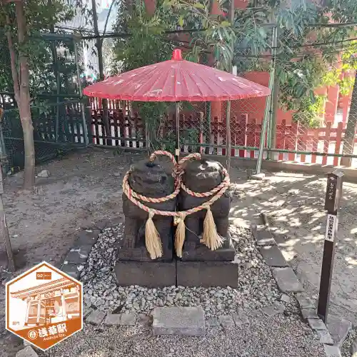 浅草神社の狛犬