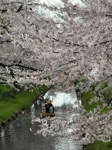 川越氷川神社の{uncategorized: "未分類", other: "その他", undefined: "問題あり", building: "その他建物", grave: "お墓", sacred_gate: "鳥居", guardian: "狛犬", statue: "像", buddha: "仏像", history: "歴史", nature: "自然", garden: "庭園", animal: "動物", pagoda: "塔", temizu: "手水舎", mountain_gate: "山門・神門", sanctuary: "本殿・本堂", subordinate: "末社・摂社", art: "芸術", scenery: "景色", jizo: "地蔵", ema: "絵馬", goshuin: "御朱印", omikuji: "おみくじ", items: "授与品その他", amulet: "お守り", goshuincho: "御朱印帳", eats: "食事", festival: "お祭り", votive_dance: "神楽", shichigosan: "七五三参", wedding: "結婚式", experience: "体験その他", initially: "初詣", around: "周辺", anti_infection: "感染症対策"}