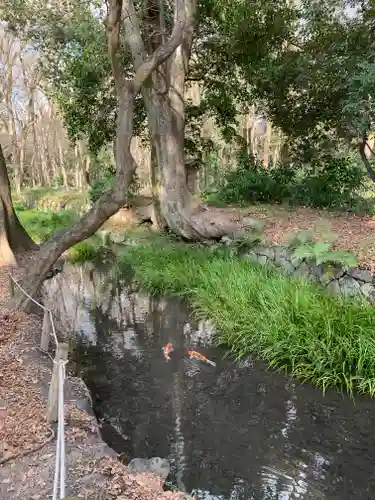 河合神社（鴨川合坐小社宅神社）(京都府)