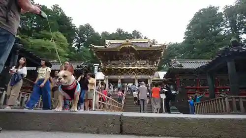 日光東照宮(栃木県)