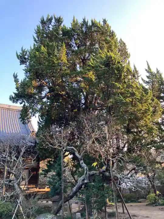 宝戒寺(神奈川県)