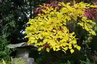 神炊館神社 ⁂奥州須賀川総鎮守⁂の自然
