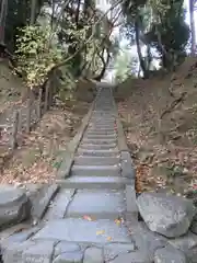 吉田神社の自然