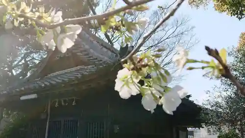 加茂神社の自然