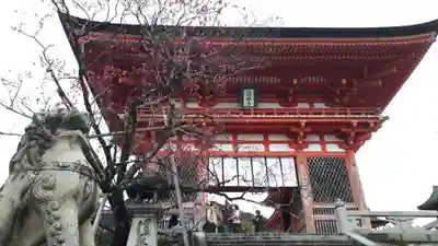 清水寺の狛犬