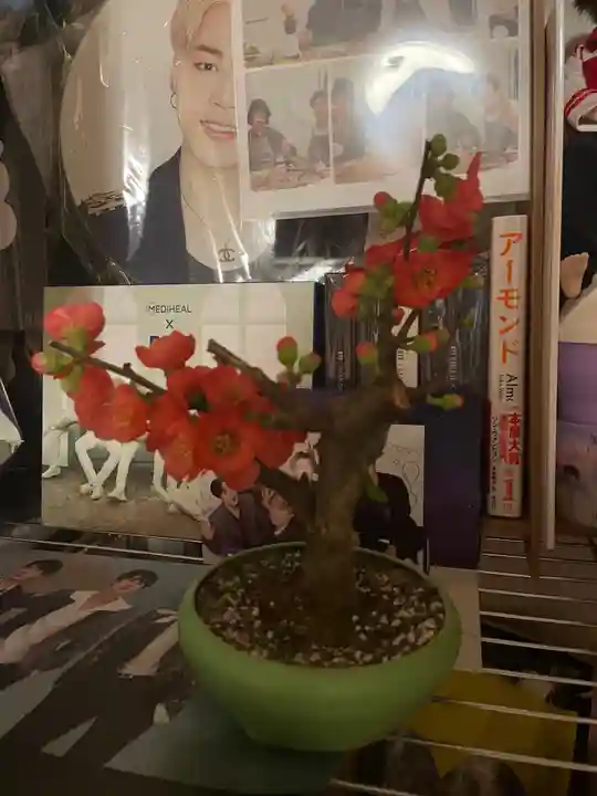 石切劔箭神社上之社のその他建物