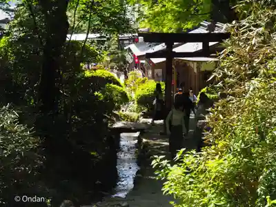 岡寺(龍蓋寺)(奈良県)