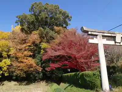 夜都伎神社の周辺