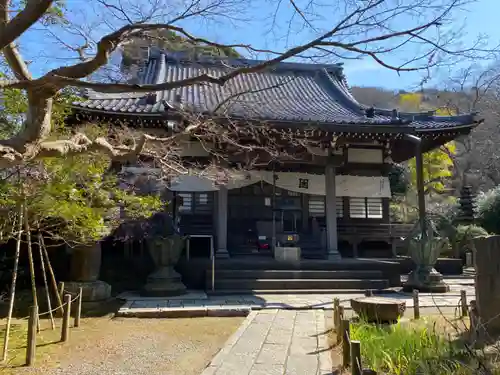 安國論寺（安国論寺）の本殿・本堂